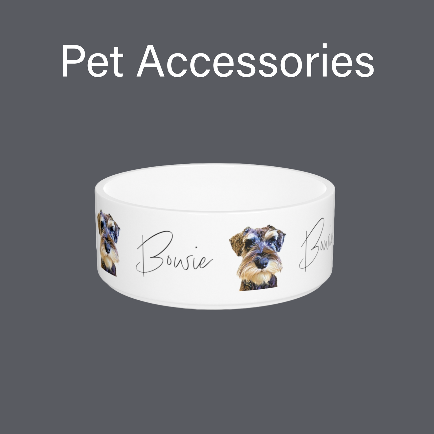 Pet Accessories